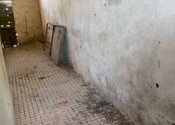 Rustico Imola - foto 11
