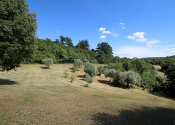IMG_9212 - Rustic Via Arcisi 8, Val Liona - photo 6
