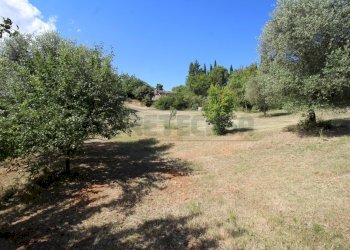 IMG_9217 - Rustic Via Arcisi 8, Val Liona - photo 7