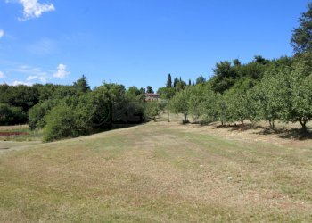 IMG_9230 - Rustic Via Arcisi 8, Val Liona - photo 9
