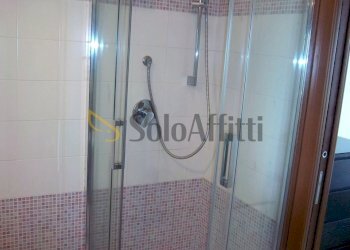 100_5845.JPG - One-room apartment Via Giovanni Lampariello, Roma - photo 12