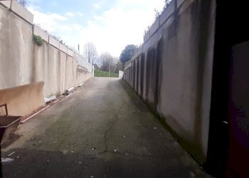 20250326_123009.jpg - Shed Via A. Sciesa, Cardano al Campo - photo 5