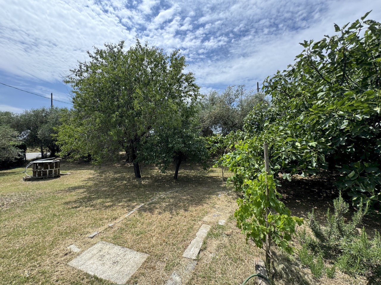 IMG_1725 - Porzione di casa Via Moreta, Coriano - foto 2