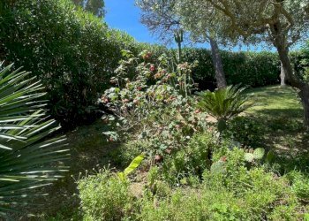 gine13 - Villa Via del Taunus 33, Ancona - photo 13