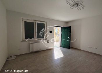 IMG_20260424_160859 - Shed Pietrasanta - photo 2