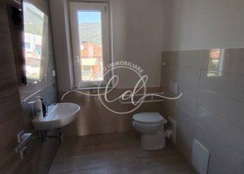 IMG_20260424_160519 - Shed Pietrasanta - photo 6