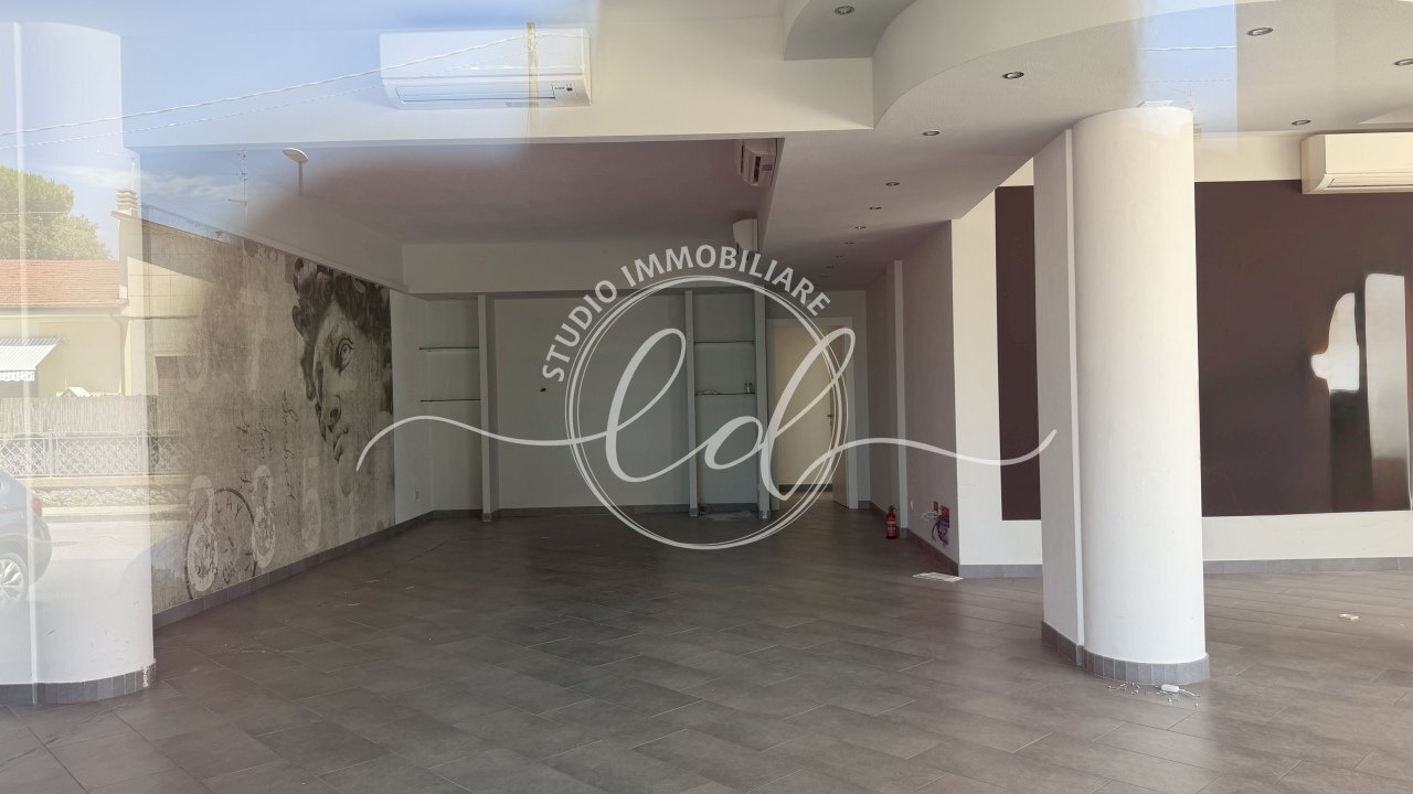 IMG_8365 - Commercial Premises Camaiore - photo 2