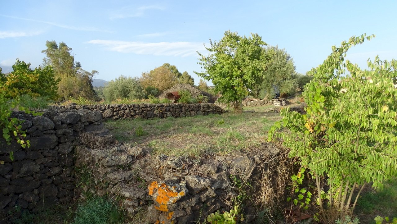 1 - Terreno agricolo Via Alto Adige, Mascalucia - foto 1