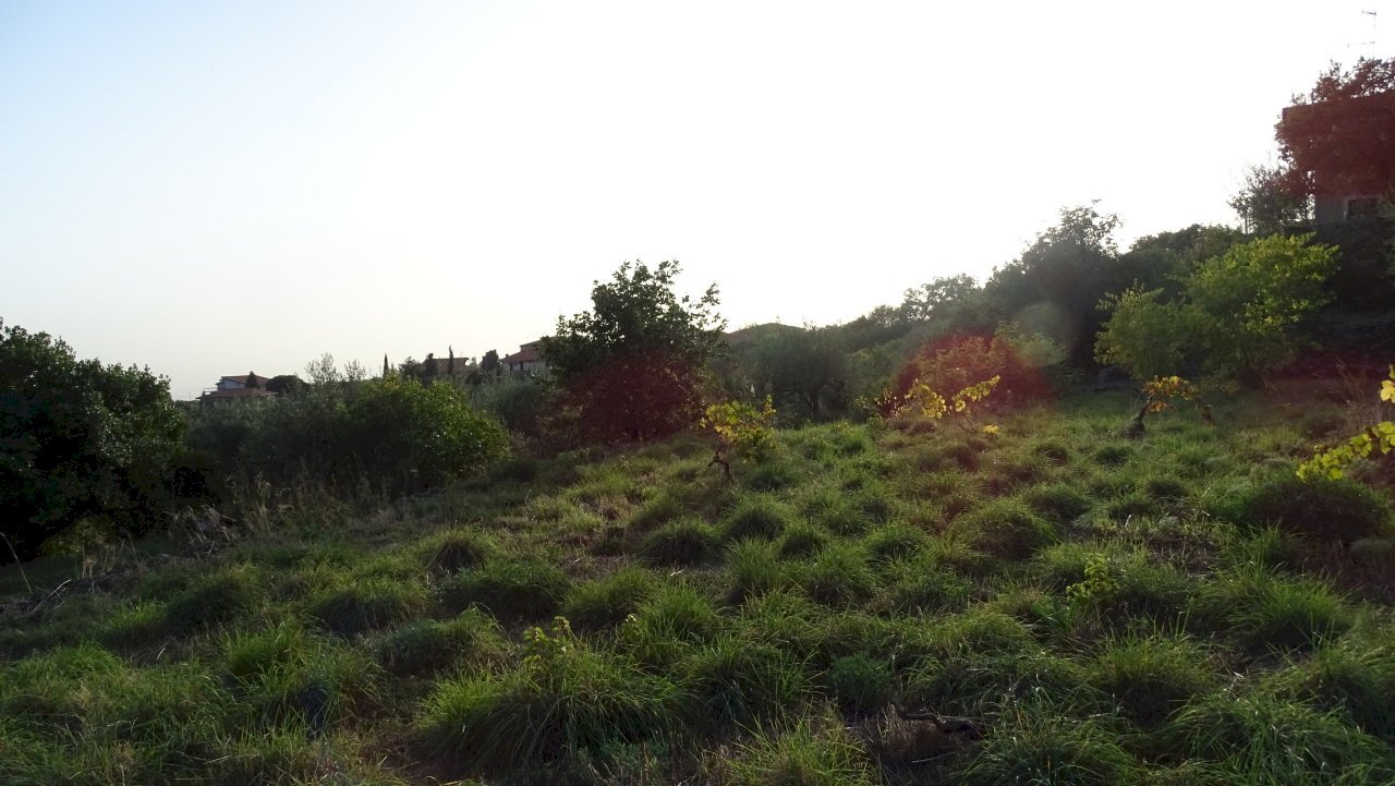2 - Terreno agricolo Via Alto Adige, Mascalucia - foto 2