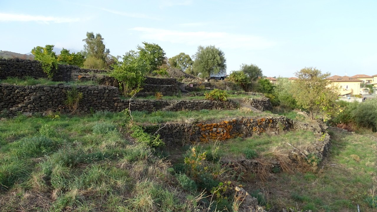 3 - Terreno agricolo Via Alto Adige, Mascalucia - foto 3