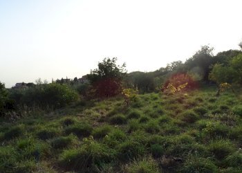 2 - Terreno agricolo Via Alto Adige, Mascalucia - foto 2