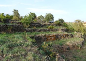 3 - Terreno agricolo Via Alto Adige, Mascalucia - foto 3