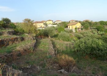 4 - Terreno agricolo Via Alto Adige, Mascalucia - foto 4