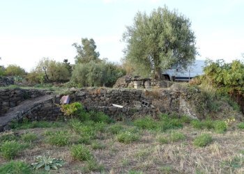 5 - Terreno agricolo Via Alto Adige, Mascalucia - foto 5