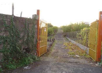 6 - Terreno agricolo Via Alto Adige, Mascalucia - foto 6