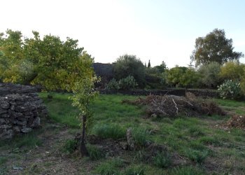 8 - Terreno agricolo Via Alto Adige, Mascalucia - foto 8