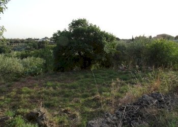 9 - Terreno agricolo Via Alto Adige, Mascalucia - foto 9