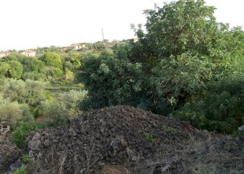 10 - Terreno agricolo Via Alto Adige, Mascalucia - foto 10