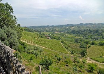 Independent house Santo Stefano Roero - photo 16