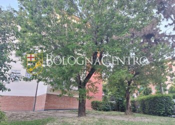 Bilocale Bologna (zona Toscana) - foto 25