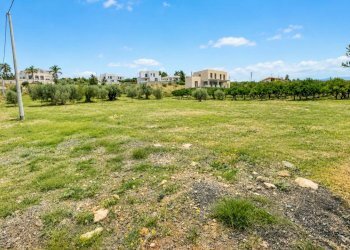 Terreno agricolo Contrada Carbone, Sciacca - foto 4