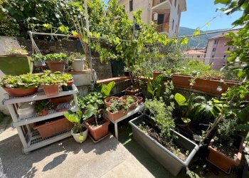 Two-room apartment Via Zagora, 15 
 Campiglia, La Spezia (neighborhood Campiglia) - photo 6
