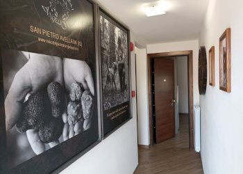 Stable - Palace Corso San Rocco, 60, San Pietro Avellana - photo 36