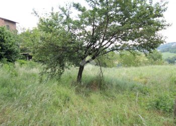 Independent house Via Villa, Carpineti - photo 8