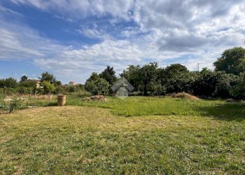 Terreno agricolo Strada Ca Bianca, Rivalta di Torino - foto 3