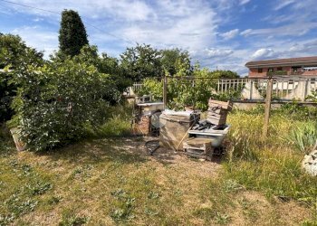Terreno agricolo Strada Ca Bianca, Rivalta di Torino - foto 6