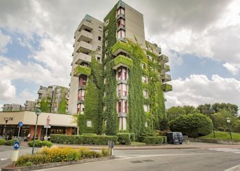 Trilocale Segrate - foto 1