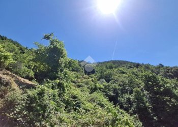 Bilocale Via Giuseppe Gazzino, Genova (zona Fiorino) - foto 20