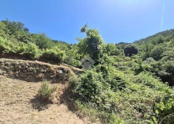 Bilocale Via Giuseppe Gazzino, Genova (zona Fiorino) - foto 23