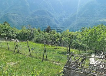 Foto 38 - Semi-detached house Loc. Pozzacchio, Trambileno - photo 38