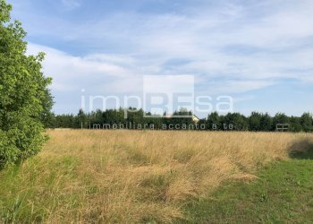 vista proprietà - Terreno edificabile Mogliano Veneto - foto 1