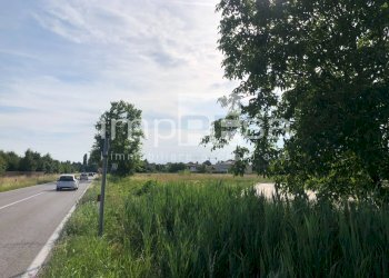 vista proprietà - Terreno edificabile Mogliano Veneto - foto 7