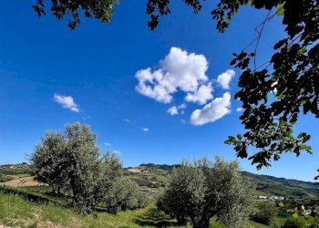 Foto 3 - Rustic Contrada Messieri
 
snc, Ripatransone - photo 3