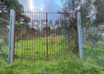 Giardino - Terreno edificabile Via Eugenio Montale Piano Geli S.M. 22
8, Monreale - foto 2