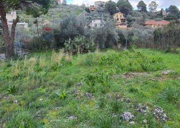 Giardino - Terreno edificabile Via Eugenio Montale Piano Geli S.M. 22
8, Monreale - foto 9