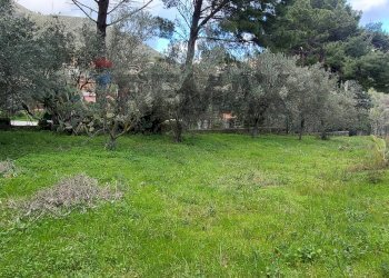 Giardino - Terreno edificabile Via Eugenio Montale Piano Geli S.M. 22
8, Monreale - foto 10