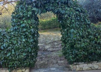 Giardino - Villa Contrada Fratulla
 
snc, Piazza Armerina - foto 4