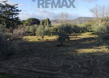 Giardino - Villa Contrada Fratulla
 
snc, Piazza Armerina - foto 5