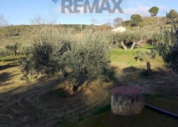 Giardino - Villa Contrada Fratulla
 
snc, Piazza Armerina - foto 11