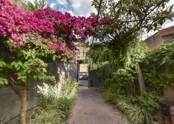 Giardino - Casa indipendente vicolo Lo Giudice
 
5, Mascalucia - foto 5