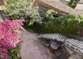 Giardino - Casa indipendente vicolo Lo Giudice
 
5, Mascalucia - foto 9