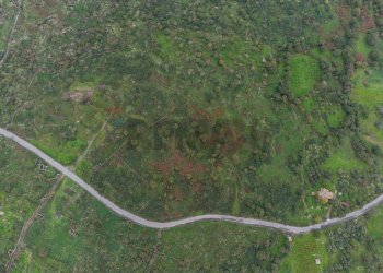 Posizione della mappa - Agricultural land CONTRADA NEMMI TORRE GUARINO
SNC, Castiglione di Sicilia - photo 13