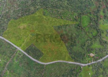 Posizione della mappa - Agricultural land CONTRADA NEMMI TORRE GUARINO
SNC, Castiglione di Sicilia - photo 17