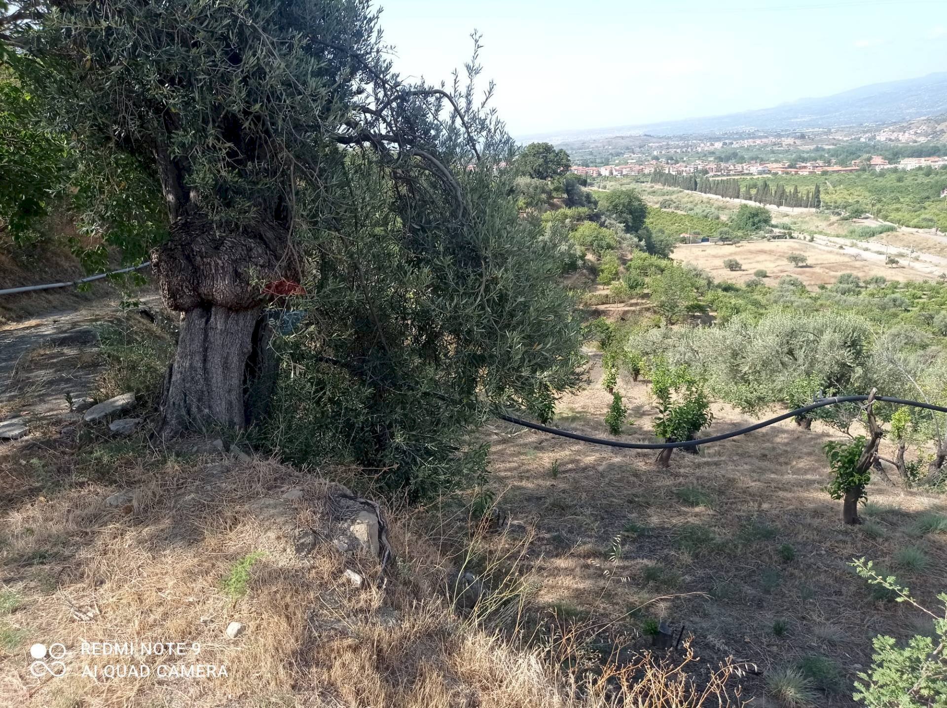Giardino - Terreno agricolo via fondaco d'accorso
 
-, Taormina - foto 2