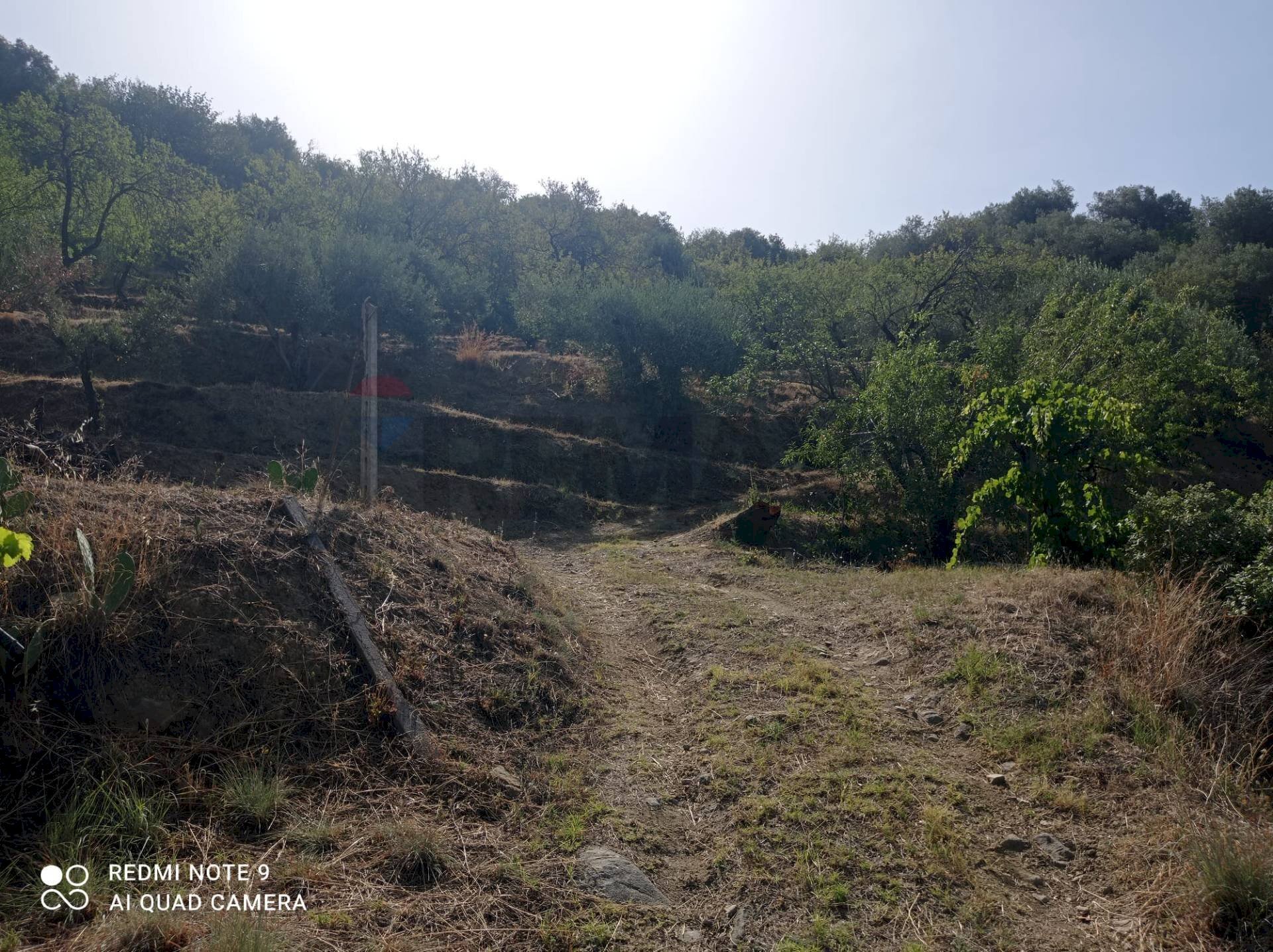 Vista delle montagne - Terreno agricolo via fondaco d'accorso
 
-, Taormina - foto 3