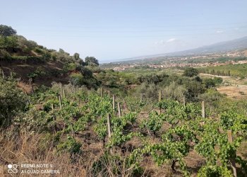 Vista delle montagne - Terreno agricolo via fondaco d'accorso
-, Taormina - foto 6